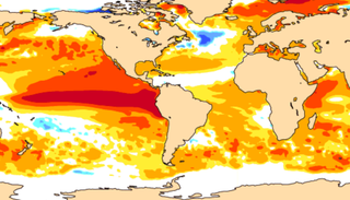 El Ni&ntilde;o pode ser hist&oacute;rico: nova previs&atilde;o indica aquecimento acima de 2,5&deg;C no Pac&iacute;fico