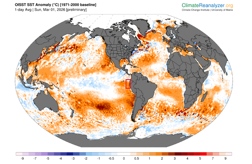 Anomalías de la temperatura del agua del mar con anomalías frías/cálidas en tonalidades azules/rojas. Se remarca la zona del calentamiento en las costas el Pacífico oriental frente a las costas de Perú y Ecuador. Climate Reanalyzer.