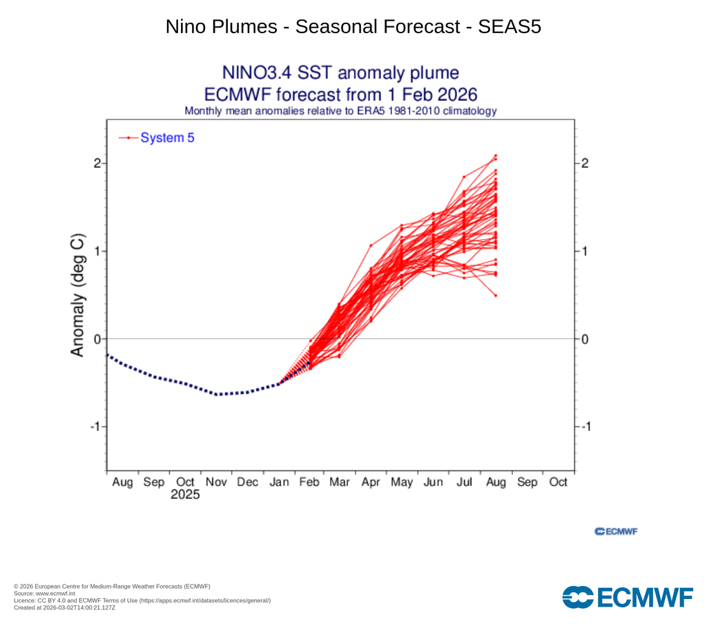 Evolución estacional prevista de las anomalías de la temperatura de la superficie del mar (TSM/SST), en rojo, para la región Niño3.4 durante los próximos meses. ECMWF