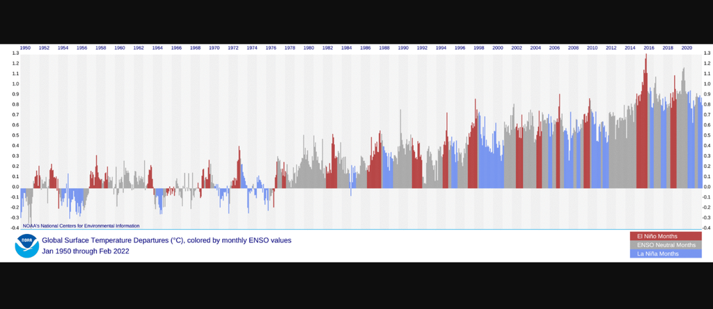 Evolución de la temperatura mensual a nivel global con los meses de El Niño (rojo), La Niña (azul) y ENSO neutral (gris) entre 1950 y 2025. La presencia de El Niño supone un pico de la temperatura media global respecto a otros meses. NOAA