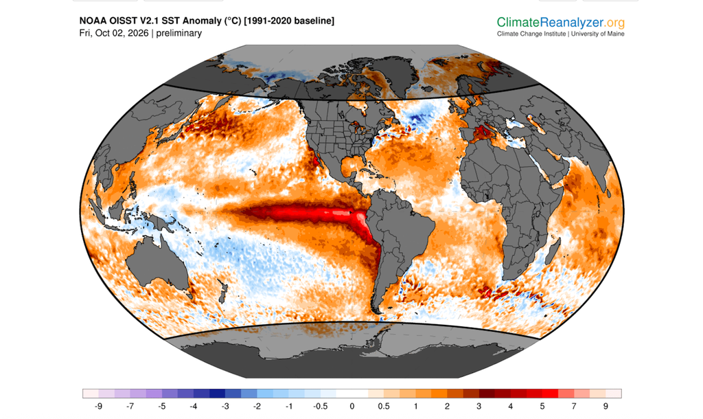 situazione di anomalia di temperatura superficiale del mare (SST) il 2 ottobre 2026: si vede chiaramente la lunga striscia di anomalia calda nell'oceano Pacifico dovuta a El Niño. Mappa da https://climatereanalyzer.org, Università del Maine.