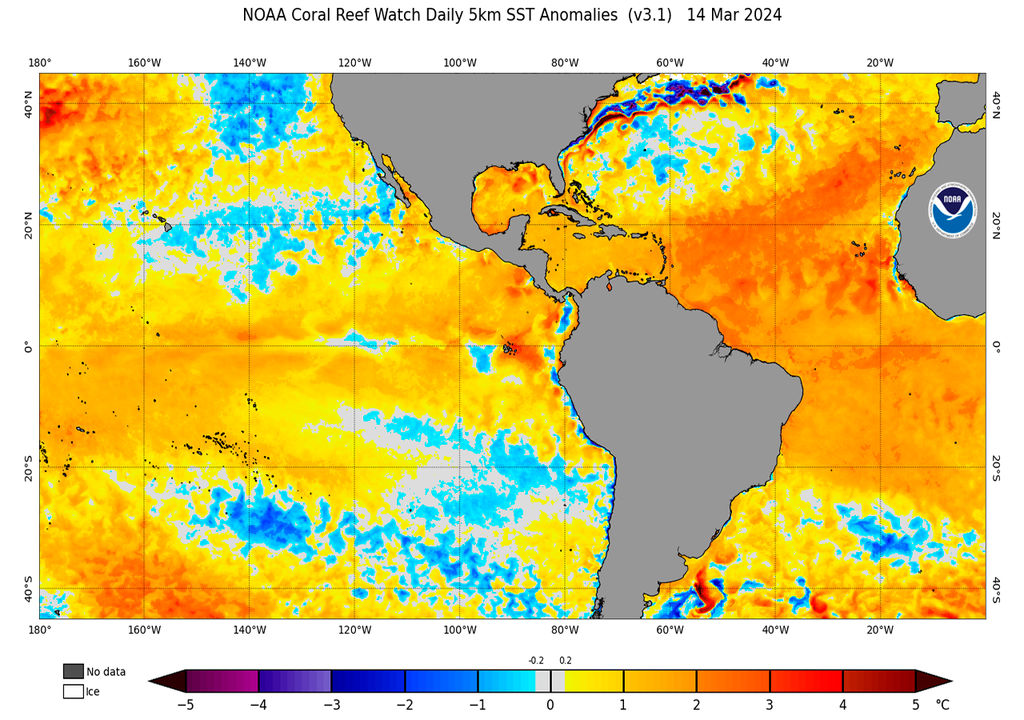 Niño, Niña, Clima, Tendencia, Anomalía, Argentina