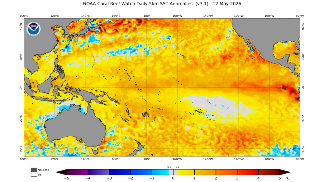 A anomalia de temperatura da superfície do mar no dia 12 de maio de 2026 mostra o Pacífico tropical praticamente todo aquecido. Créditos: NOAA Coral Reef.