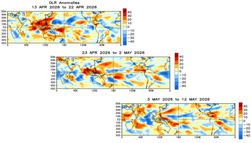 Evolução semanal das anomalias de radiação de onda longa (OLR) mostra áreas persistentes de convecção (azul) sobre o Pacífico tropical. Créditos: Elaborado por Meteroed/Fonte: CPC/NOAA.