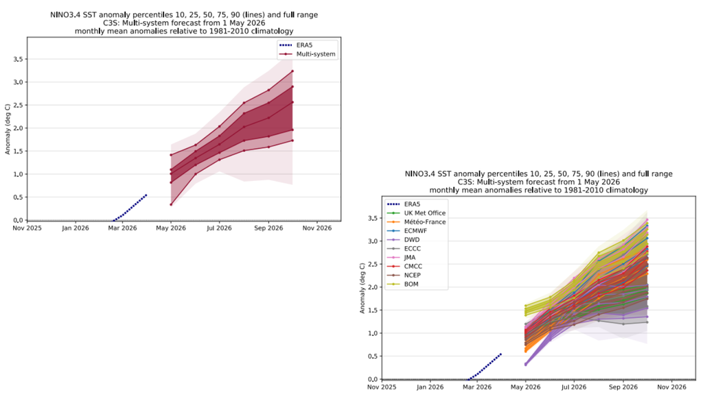 Projeção multi-modelo do Copernicus para as anomalias de TSM na região Niño 3.4 (esquerda) e projeção dos modelos que compõem ensemble (direita). Créditos: ECMWF.