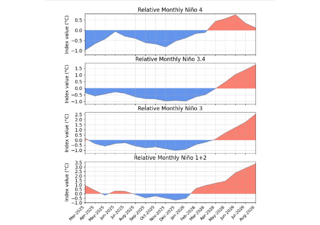 Las anomalías relativas de temperatura superficial del Pacífico muestran un rápido calentamiento durante 2026, especialmente en las regiones Niño 1+2, Niño 3 y Niño 3.4, evidenciando el fortalecimiento de El Niño. Las anomalías relativas de temperatura superficial del Pacífico muestran un rápido calentamiento durante 2026, especialmente en las regiones Niño 1+2, Niño 3 y Niño 3.4, evidenciando el fortalecimiento de El Niño. Fuente: NOAA/CPC.