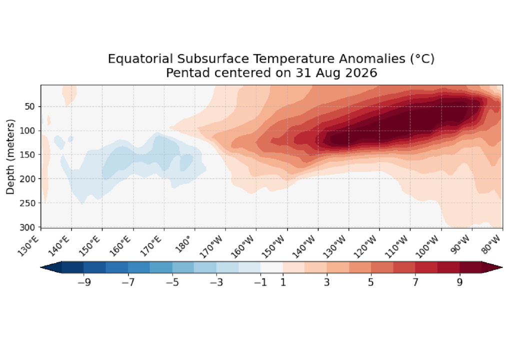 Un extenso reservorio de aguas anormalmente cálidas domina bajo la superficie del Pacífico ecuatorial central y oriental, con anomalías que superan los +9 °C en algunos sectores. Este calor subsuperficial aporta energía al fortalecimiento de El Niño. Un extenso reservorio de aguas anormalmente cálidas domina bajo la superficie del Pacífico ecuatorial central y oriental, con anomalías que superan los +9 °C en algunos sectores. Este calor subsuperficial aporta energía al fortalecimiento de El Niño. Fuente: NOAA/CPC.