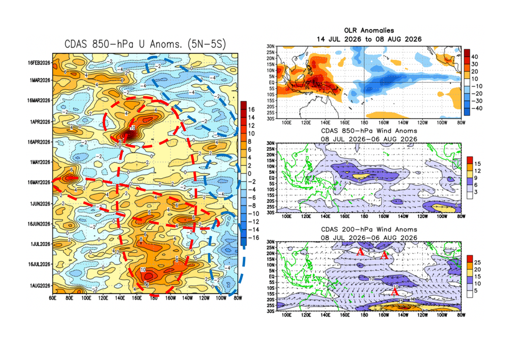 Respuesta atmosférica Evolución reciente de las anomalías de viento en niveles bajos y distribución de las anomalías de convección y circulación atmosférica sobre el Pacífico tropical. Fuente: NOAA-CPC.