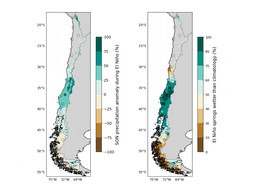 Anomalías de precipitación Anomalías de precipitación en primavera durante años de El Niño. Izquierda: anomalías porcentuales de precipitación acumulada en el trimestre SON. Derecha: frecuencia de trimestres SON con anomalías positivas de precipitación durante años de El Niño. Eventos El Niño considerados usando el RONI del trimestre SON entre 1950 y 2025. Climatologías usando el periodo 1991-2020. Datos: CR2MET.