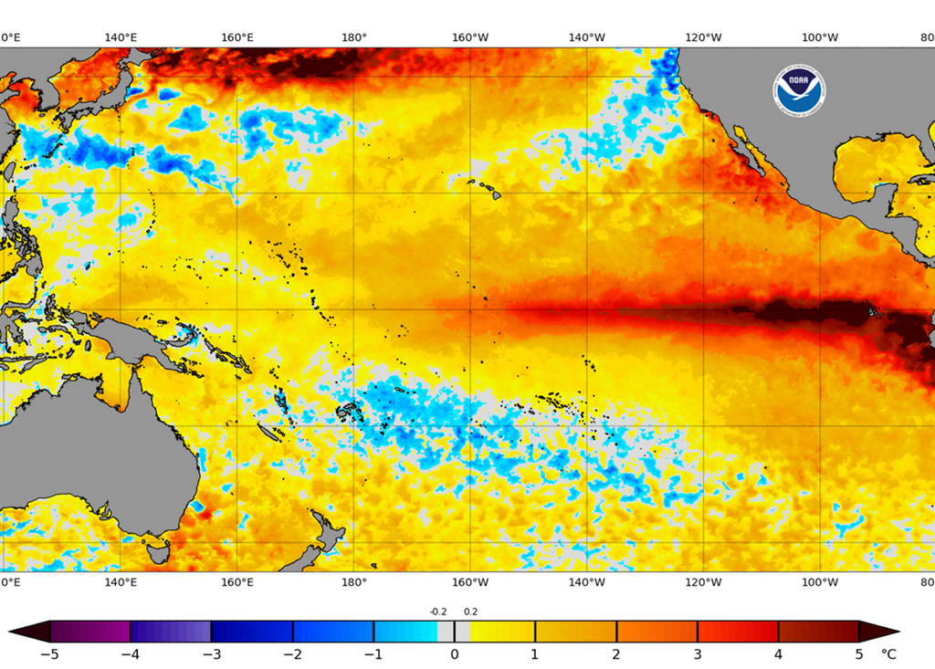 El Niño se fortalece El Pacífico ecuatorial sigue calentándose, esperándose que El Niño se fortalezca y alcance intensidad Muy Fuerte este invierno generando eventos meteorológicos extremos.