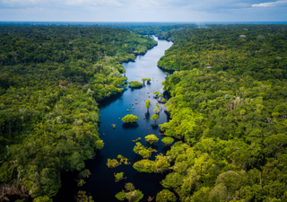 El Niño: una amenaza inminente para el Amazonas