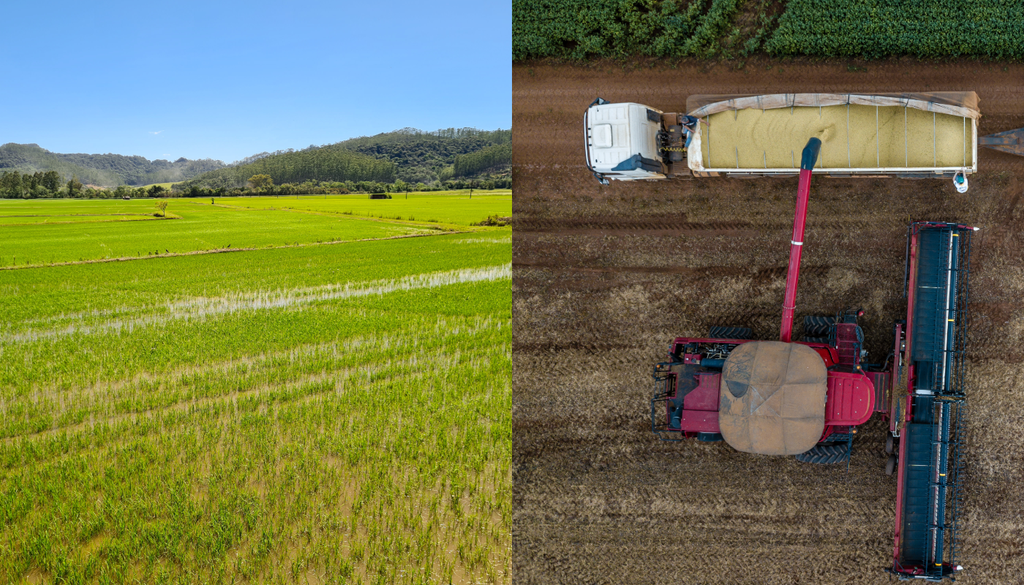 A produção de alimentos para consumo interno e exportação pode ser prejudicada. A produção de alimentos para consumo interno e exportação pode ser prejudicada.