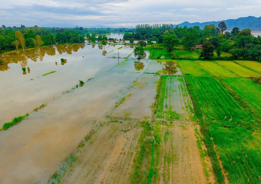 SMN La tendencia habla de más lluvias y menos temperatura, condiciones que podrían afcetar los rindes.