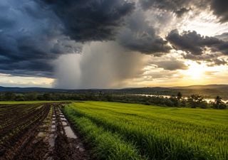 El Ni&ntilde;o y las lluvias de primavera: qu&eacute; espera el ECMWF para Argentina en septiembre, octubre y noviembre