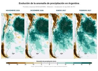 El Ni&ntilde;o ya est&aacute; ac&aacute;: qu&eacute; puede pasar en cada regi&oacute;n de Argentina y qu&eacute; hay detr&aacute;s de los pron&oacute;sticos mas alarmantes