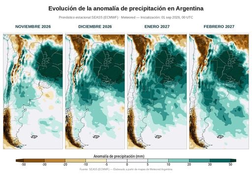 El Ni&ntilde;o ya est&aacute; ac&aacute;: qu&eacute; puede pasar en cada regi&oacute;n de Argentina y qu&eacute; hay detr&aacute;s de los pron&oacute;sticos mas alarmantes