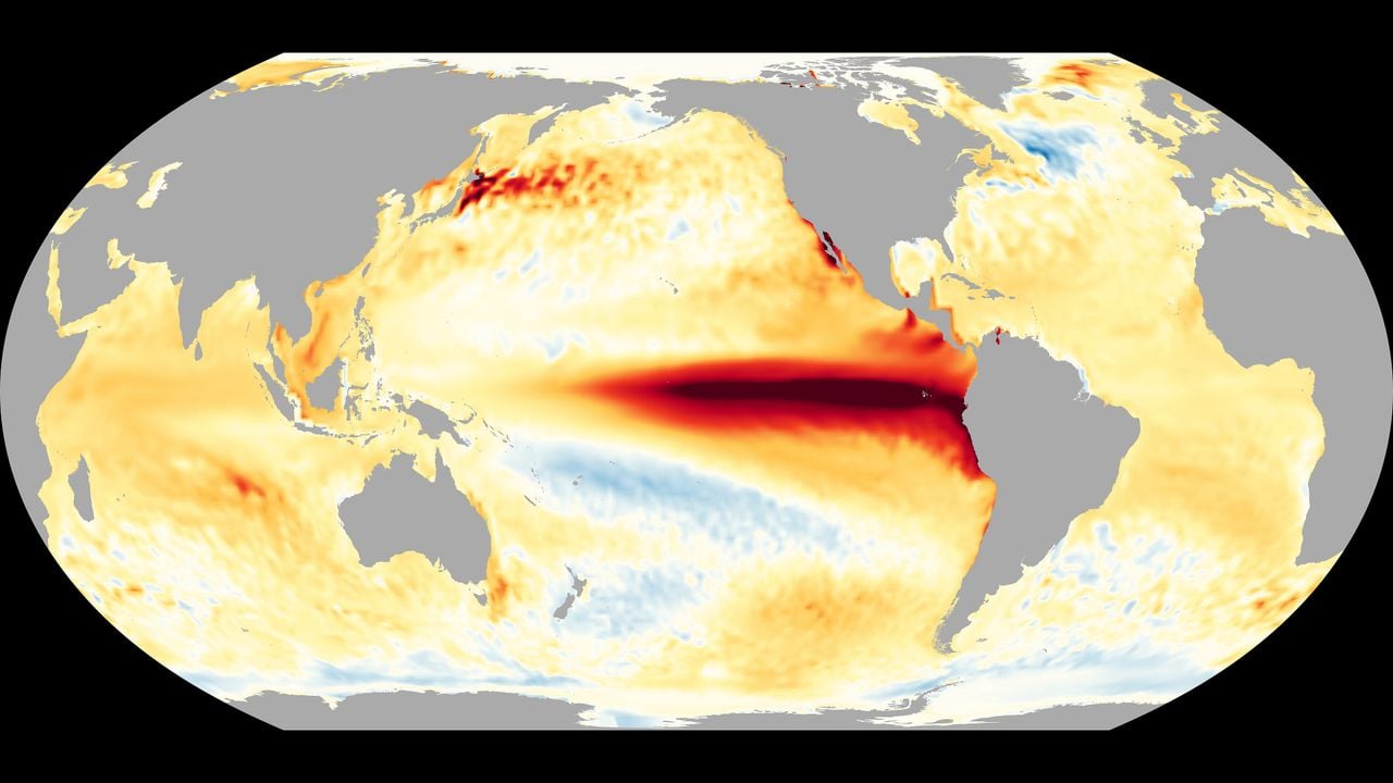 El último análisis del ECMWF pronostica un pico de +4.1°C en diciembre. De ser así, este será El Niño el más fuerte registrado. Sin embargo, no es correcto relacionar esta mayor intensidad con una mayor severidad generalizada de impactos, ni que estos sean uniformes en todas las regiones.