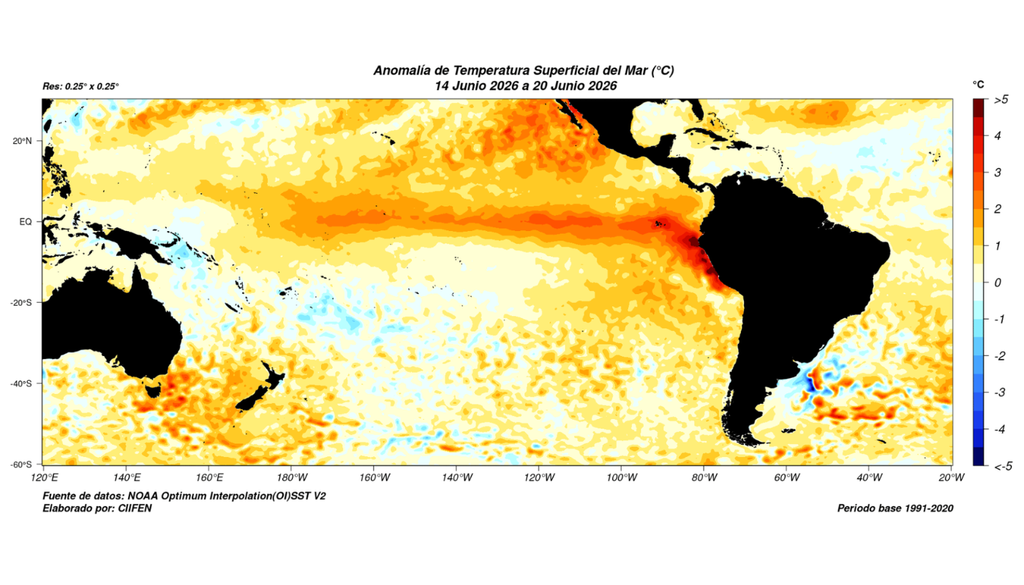 Anomalías de temperatura superficial del mar entre el 14 y 20 de junio de 2026 muestran un marcado calentamiento en el Pacífico ecuatorial, una señal clave asociada al desarrollo de El Niño. Crédito: NOAA. Elaborado por CIIFEN. Periodo base 1991–2020.