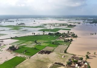 El Ni&ntilde;o ya no es una hip&oacute;tesis: la OMM eleva al 80 % la probabilidad de que se desarrolle y domine el clima mundial