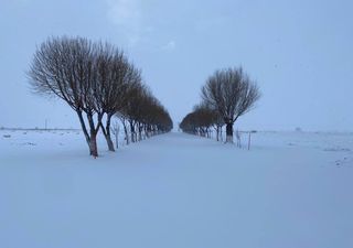 El norte de México se pinta de blanco por nieve