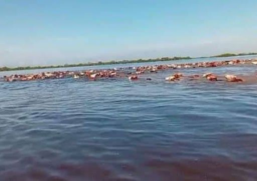 El norte de Santa Fe en emergencia: lluvias r&eacute;cord, m&aacute;s de un mill&oacute;n de hect&aacute;reas bajo agua y alerta productiva