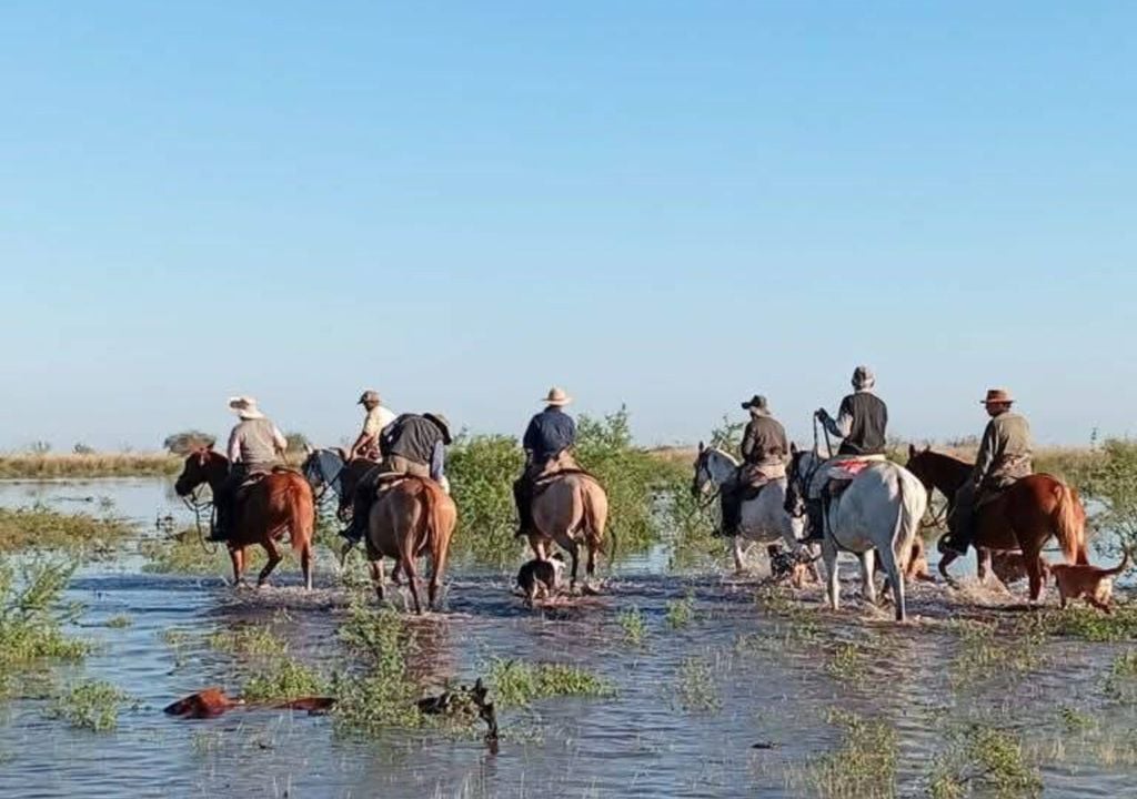 Productores desplazan hacienda hacia sectores más altos en medio de una emergencia que ya genera pérdidas millonarias.