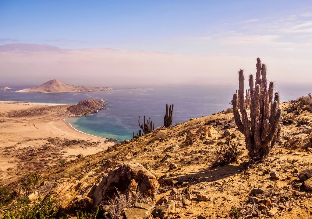 Parque Nacional Pan de Azúcar, norte de Chile.