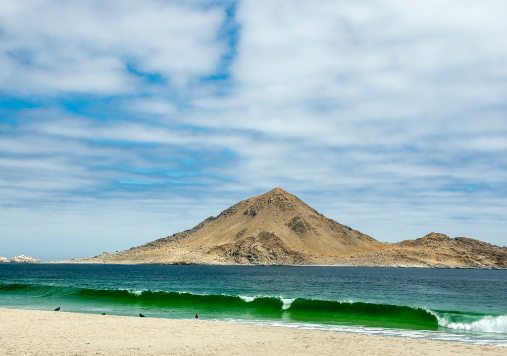 Playa blanca del Parque Nacional Pan de Azúcar.
