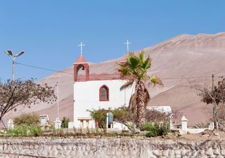 El oasis secreto de Arica: un lugar con tierras fértiles y sitios arqueológicos en medio del desierto