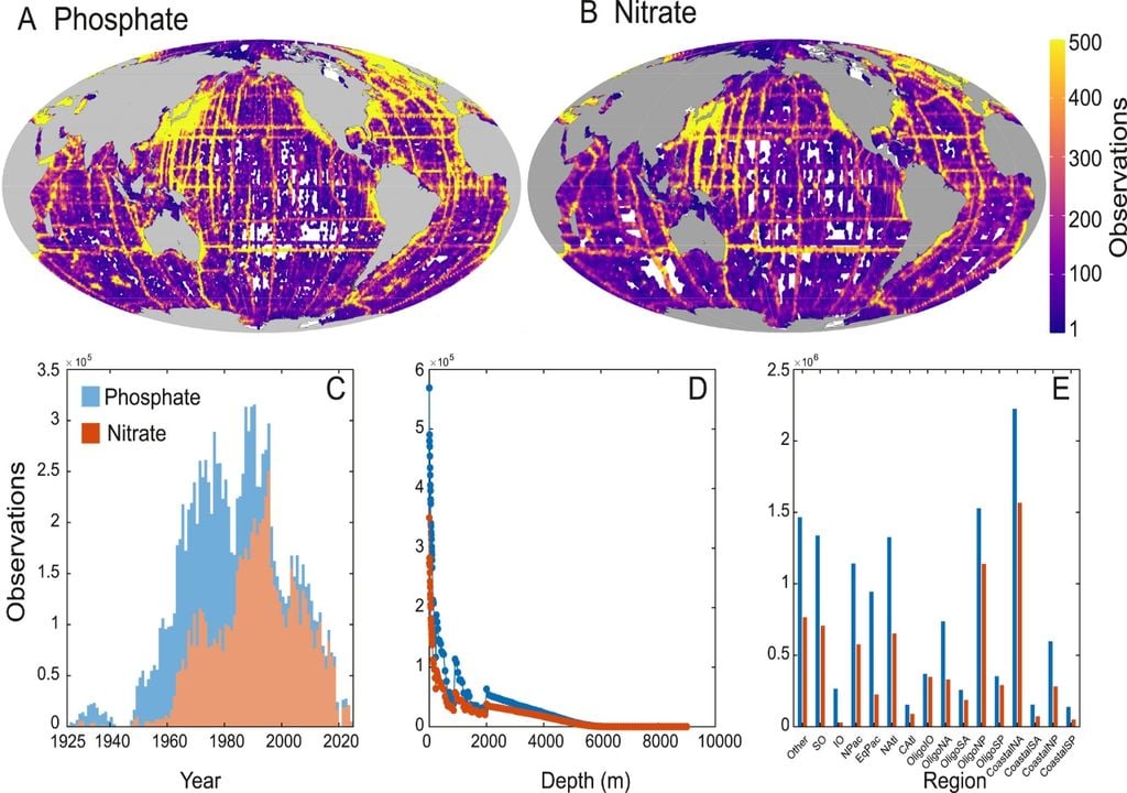 Investigacion oceanos Cobertura global de mediciones de nutrientes. El análisis incluyó 9.103.674 y 4.758.805 mediciones de fosfato (a) y nitrato (b) que cubren 21096 celdas de cuadrícula espacial únicas de 1° × 1° de la superficie del océano. Imagen: AGU Advances