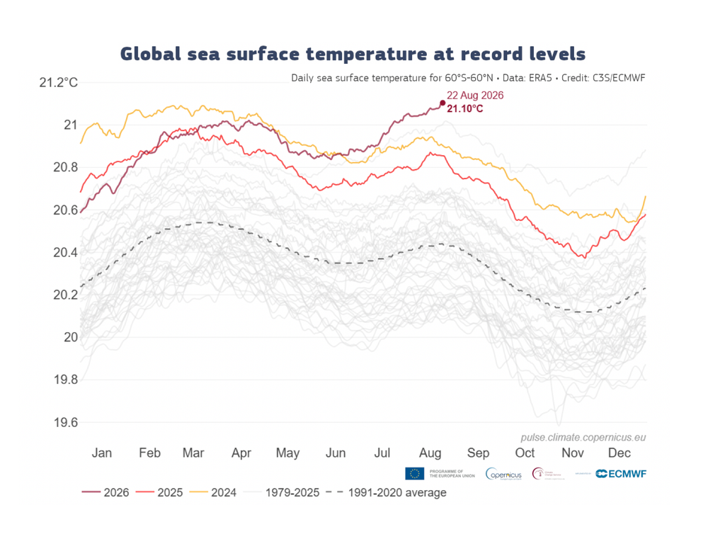Evolución de las SST Temperatura superficial diaria del mar promediada sobre el océano global extrapolar (60°S–60°N) para 2024 (amarillo), 2025 (naranja) y 2026 (rojo). Años entre 1979 y 2023 se muestran con líneas grises. El promedio diario para el período de referencia 1991–2020 se muestra con línea gris discontinua. Fuente de datos: ERA5. Crédito: C3S/ECMWF.