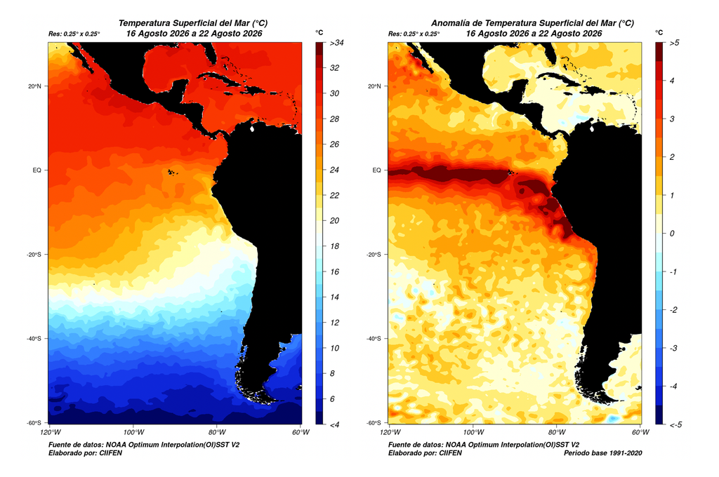 SSTs Pacífico oriental Temperatura superficial del mar (izquierda) y anomalías de temperatura superficial del mar en la semana entre el 16 y 22 de agosto de 2026. Fuente de datos: NOAA OISSTv2. Créditos: CIIFEN.