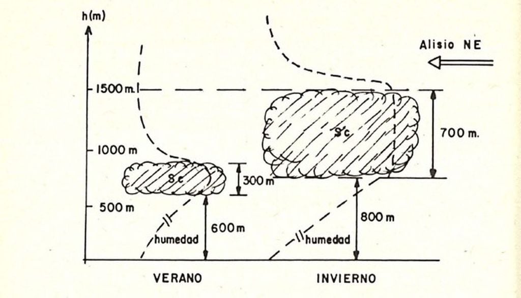 Esquema que muestra el diferente grosor y altitud que alcanza la capa de estratocúmulos que forma el mar de nubes en las islas Canarias. Fuente: Calendario Meteorológico 1981 © Agencia Estatal de Meteorología.
