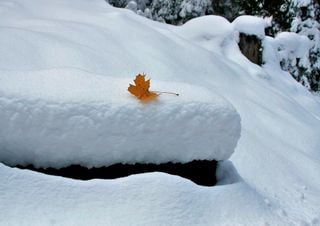 El otoño climatológico se despedirá con cambios importantes