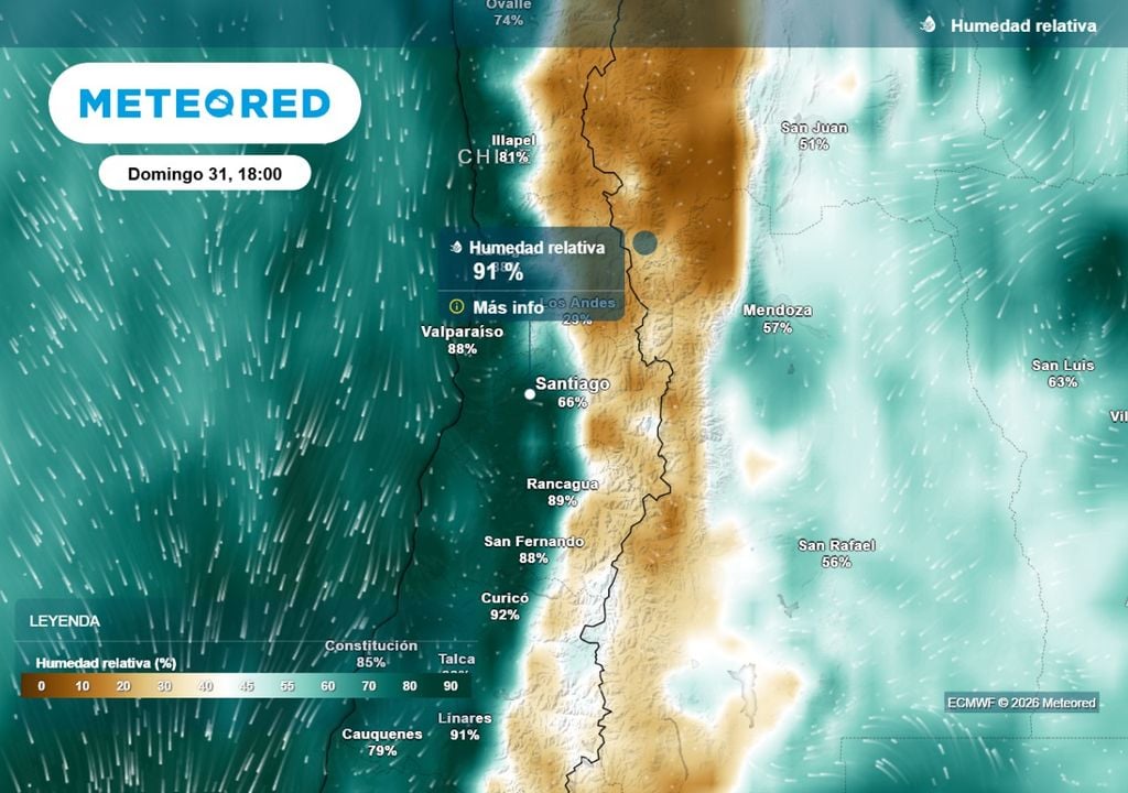 Desde la costa las nubes costeras dejarán un ambiente muy humedo este domingo en la capital chilena, según muestra el ECMWF.