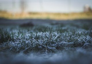 El otoño y las heladas