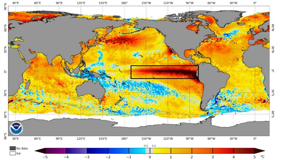 Anomalie de température de la surface de la mer le 5 octobre 2026. Crédit : NOAA.