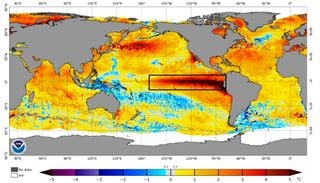 El Pac&iacute;fico rompe un r&eacute;cord hist&oacute;rico: la temperatura del mar super&oacute; por primera vez los 30 &deg;C en la regi&oacute;n Ni&ntilde;o 3.4