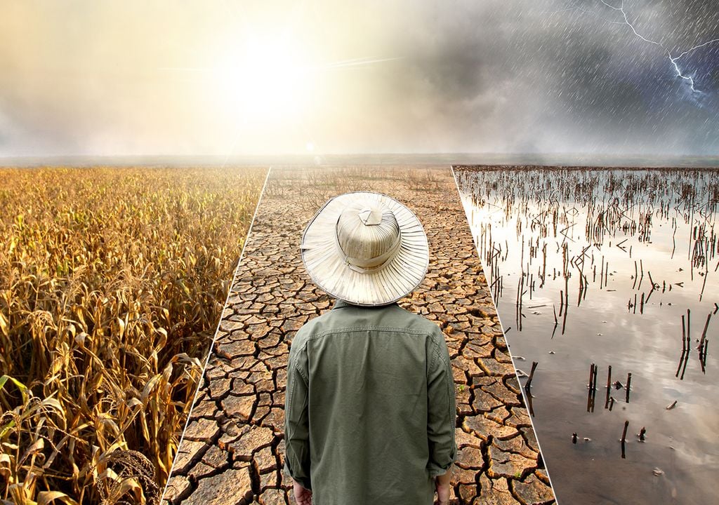 Efectos el niño Sequías en el nordeste de Brasil, Australia y el sudeste asiático, lluvias excesivas en partes de Argentina, Estados Unidos y el este de África; patrones climáticos erráticos en múltiples regiones y aumento en la temperatura media global. Estos son algunos de los impactos planetarios de El Niño.