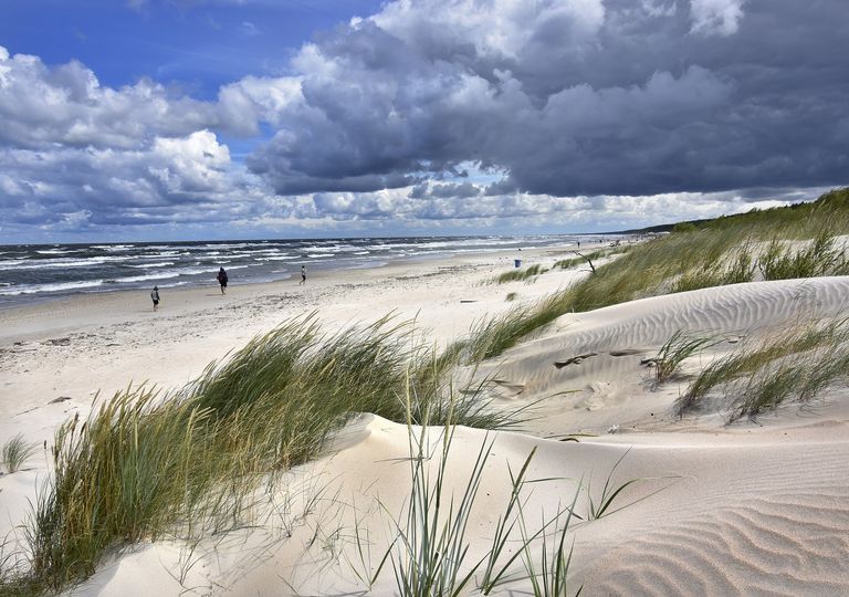El importante papel de las dunas en los ecosistemas costeros El importante papel de las dunas en los ecosistemas costeros