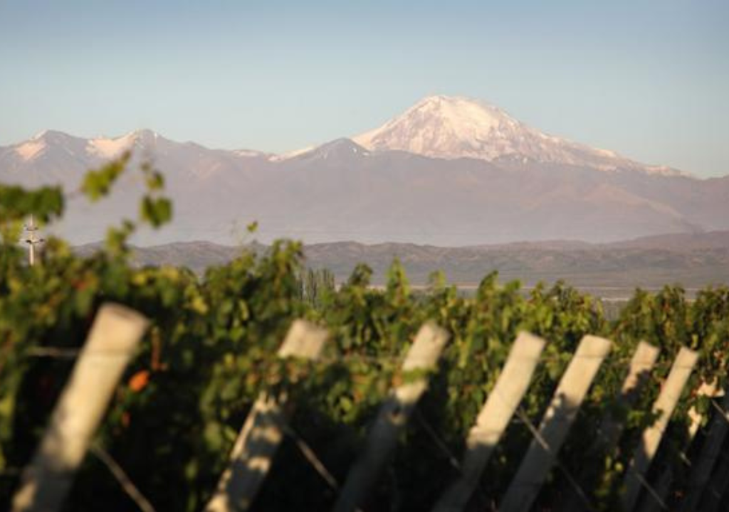 Gualtallary vino Mendoza Los suelos de Gualtallary son de origen aluvional (pobres en materia orgánica y ricos en piedra y carbonato de calcio). He ahí el secreto. Foto: X @zorzalwines.