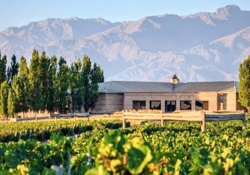 Gualtallary vino Mendoza Las bodegas de Gualtallary tienen restaurantes con menús de paso. También hay posadas de cocina regional. Foto: Facebook Bus Vitivinícola.