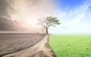 El Parlamento Europeo declara la emergencia climática