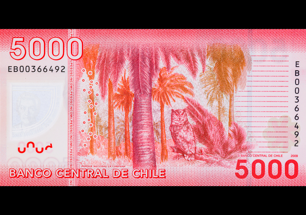 Parque Nacional La Campana en billete de 5 mil pesos chilenos. Parque Nacional La Campana en billete de 5 mil pesos chilenos.