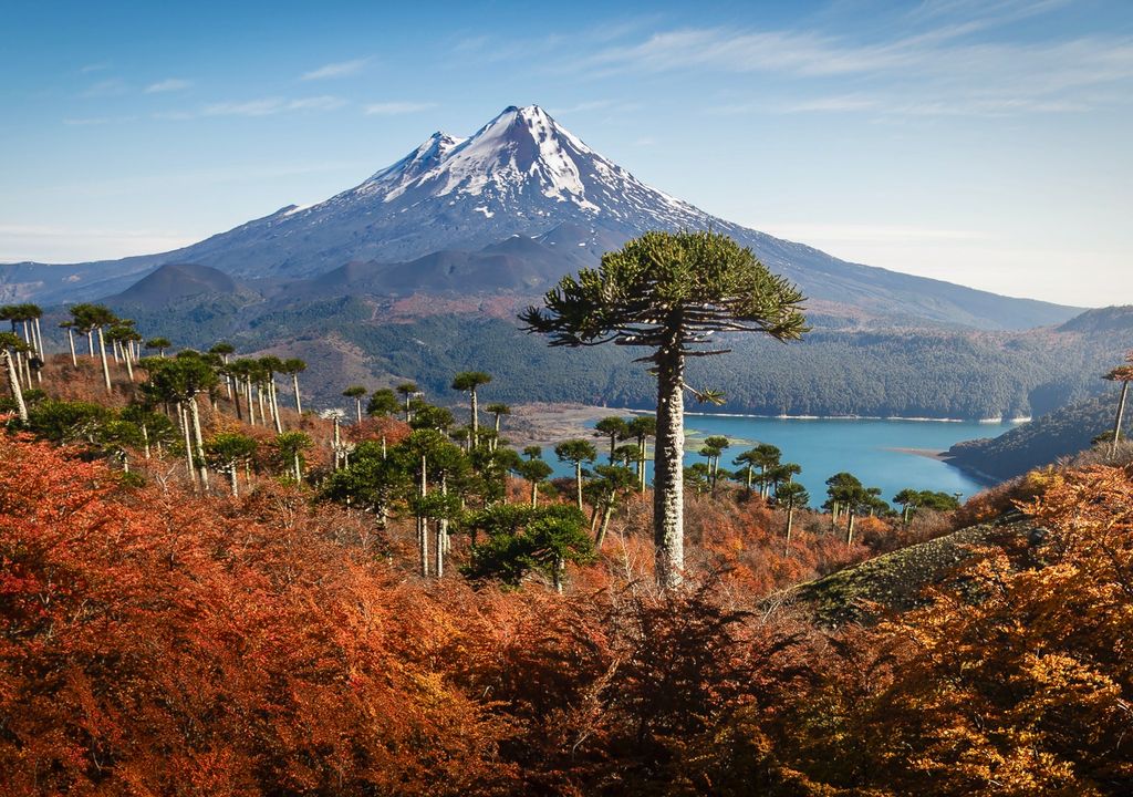 Mirador Sierra Nevada del Parque Nacional Conguillío. Mirador Sierra Nevada del Parque Nacional Conguillío.