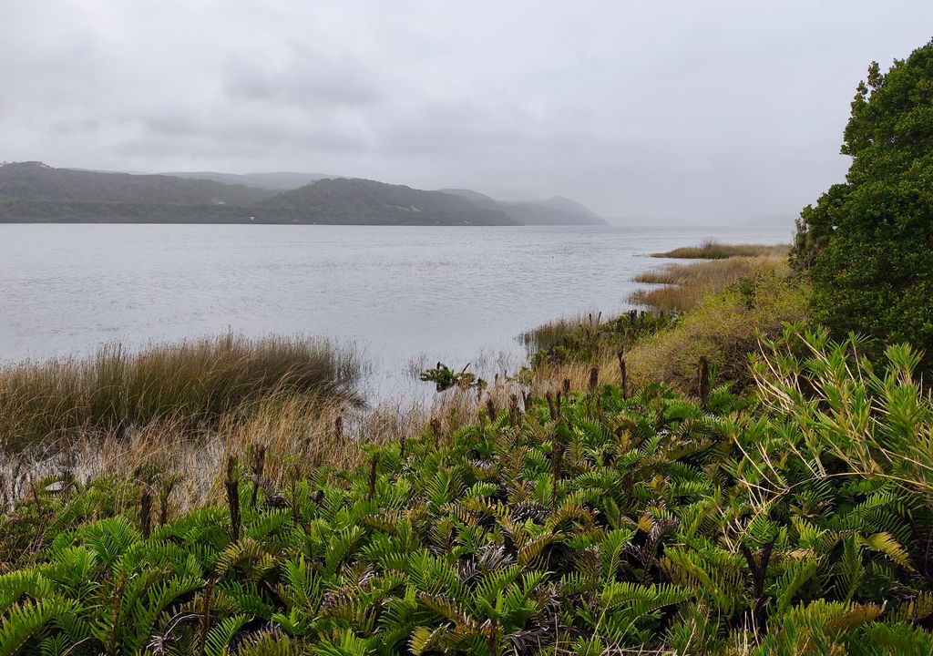 Desde el Parque Nacional Chiloé se tienen lindas vistas al lago Cucao. Crédito: Catalina Contreras.