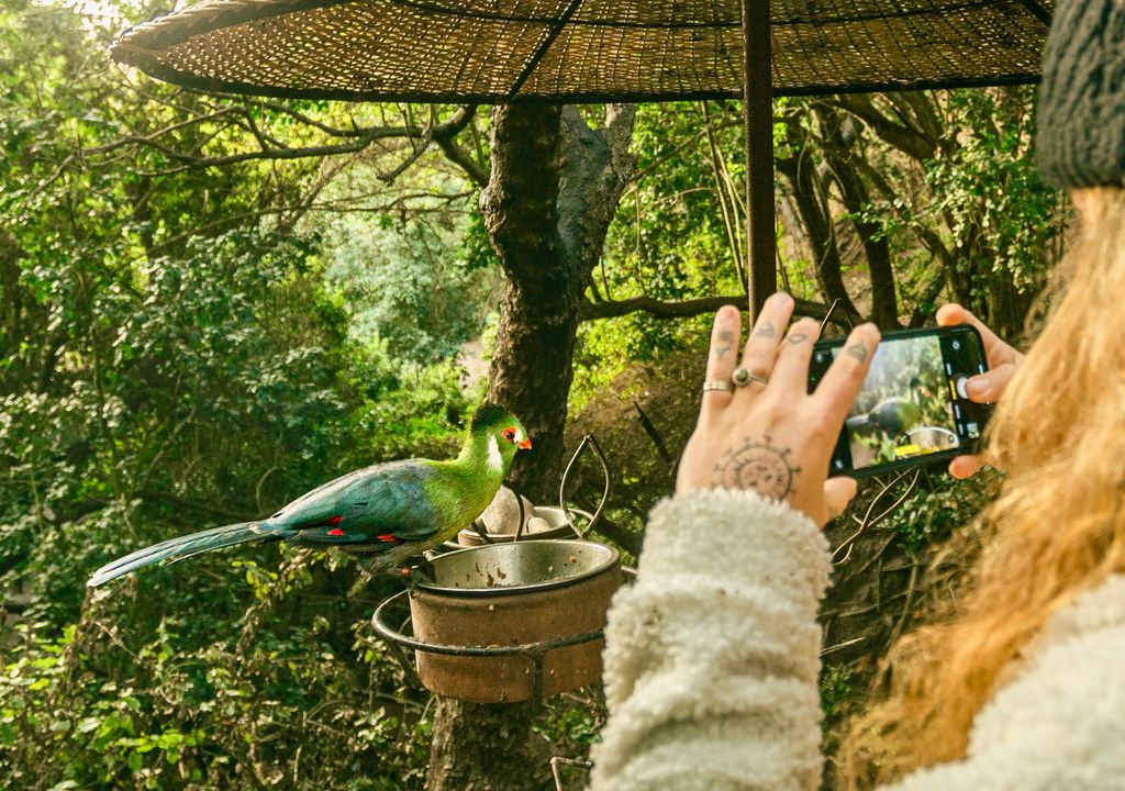 Aviario del Parque Tricao, Santo Domingo, Región de Valparaíso.