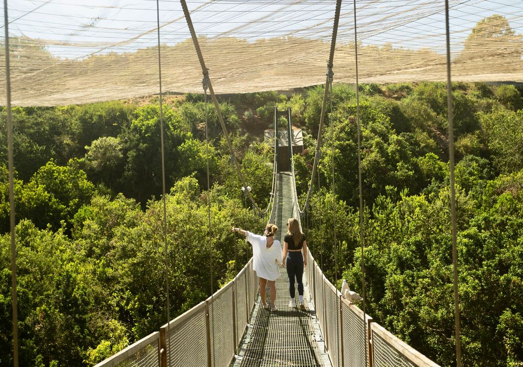 Puente colgante del Parque Tricao. Puente colgante del Parque Tricao.