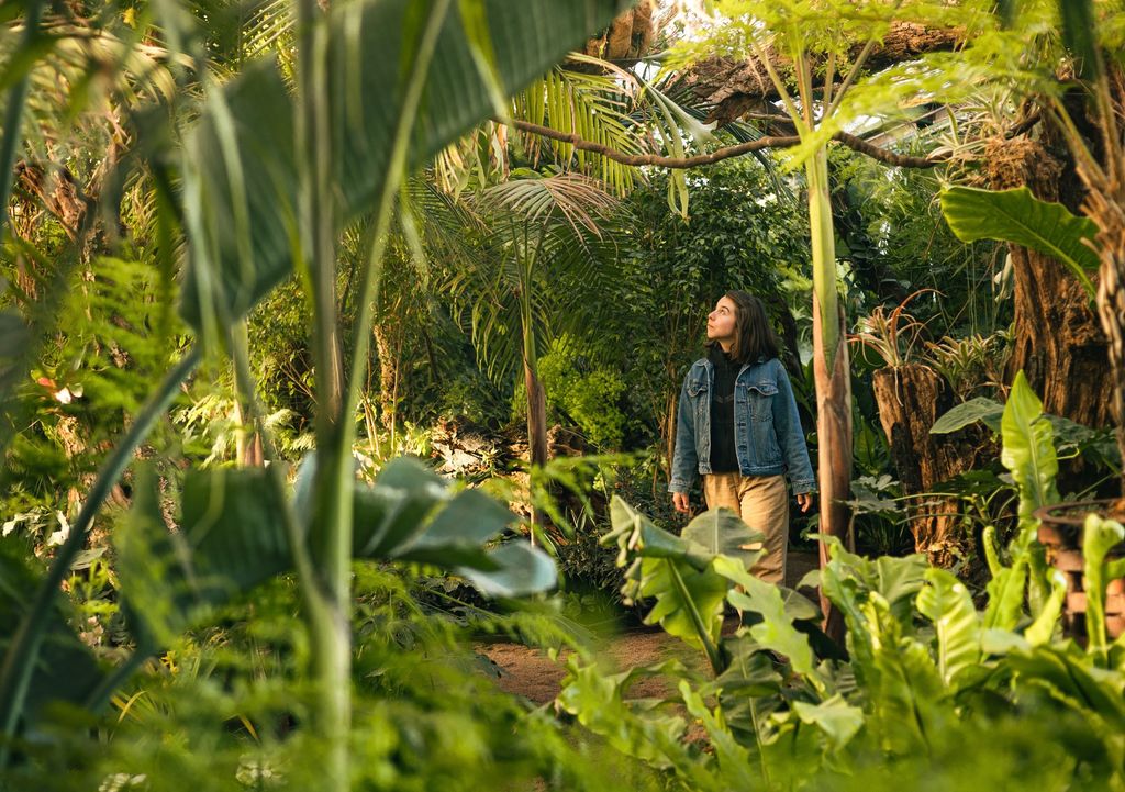 Jardín botánico del Parque Tricao. Jardín botánico del Parque Tricao.