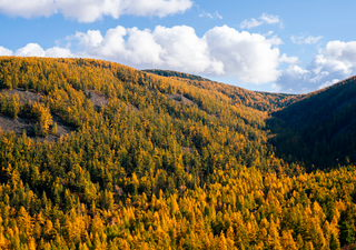 El parque que exist&iacute;a antes de Yellowstone: el santuario milenario escondido en las monta&ntilde;as de Mongolia